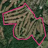 Haste Hill Golf Course
