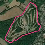 The Drift Golf Club