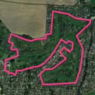 Ham Manor