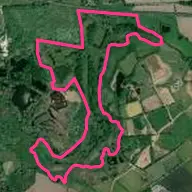Brandon Wood Golf Club
