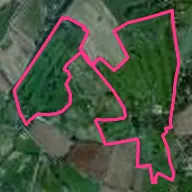 Arscott