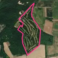 King’s Lynn Golf Club