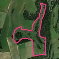 The Downs Course