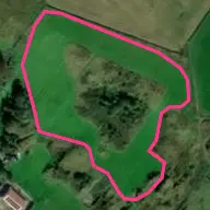 Pitch & Putt