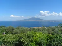Ancelle Sorrento
