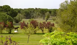 Posada Real del Pinar