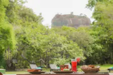 Sigiriya Village