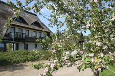 Borstel-Treff