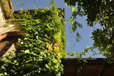 La Caveja
