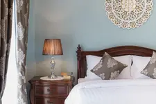 The Velvet Orchid
