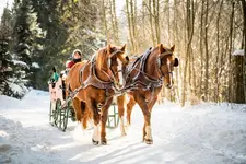 Landpension Pferdekoppel