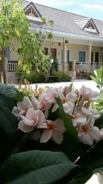 Suksopha Resort