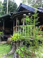 Koh Kood Little Hut