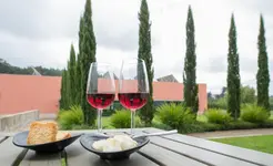 Hotel Quinta da Cruz & Spa