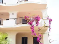 Oasiclub Hotel