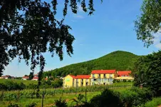 Alte Rebschule