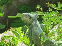 Residence Hôteliere Hurlevent