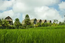 De Klumpu Bali