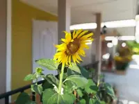 Deva Garden Resort