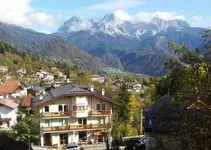 Stella Alpina