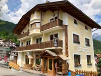 Stella Alpina
