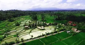 De Klumpu Bali
