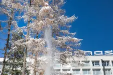 Hotel Harnas