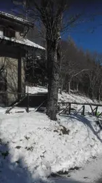 B&B Bucaneve