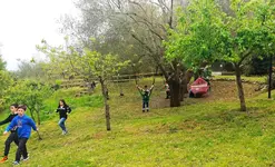 Verdeblu Country Hotel