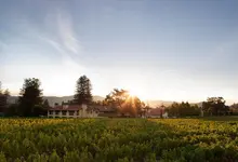 Napa Valley Lodge