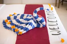 Blue Star Dive & Resort