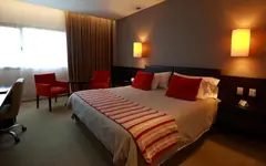 Hotel del Río Roca