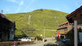 Hotel Altenberg