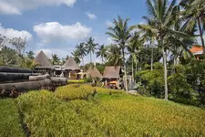 Green Field Resort Ubud