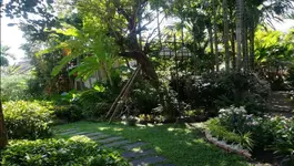 Viang Thapae Resort