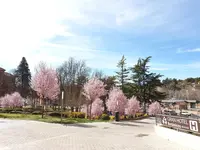 Gran Hotel Botánicos