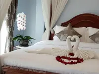 The Velvet Orchid