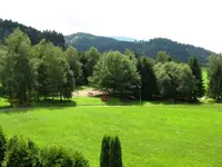 Silberkönig