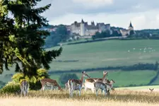 Château Sainte Sabine