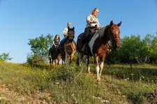 Wildcatter Ranch and Resort