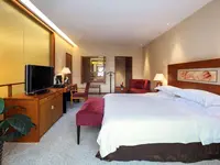 Pullman Zhangjiajie Hotel