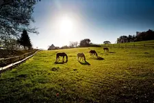 Landhotel Eulkretscham