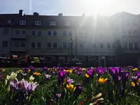 Café Feldmann & Pension