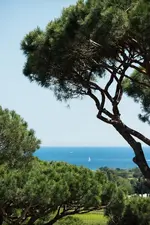 Hôtel Villa Marie Saint Tropez