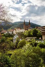 Das Waldhaus