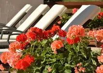 Hotel Terme Antico Bagno