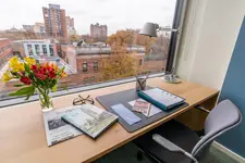 The Study at Yale