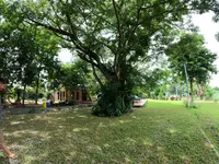Baan Tonjaeng Resort