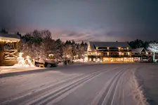 Hotel Grüner Wald