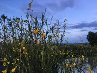 Chapulin Natural Resort